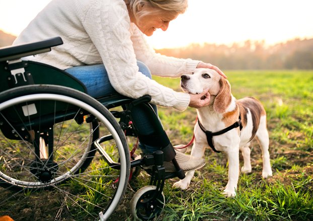 Woman in wheelchair petting dog